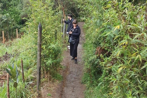 Medellin: Amazing Arvi Natural Reserve