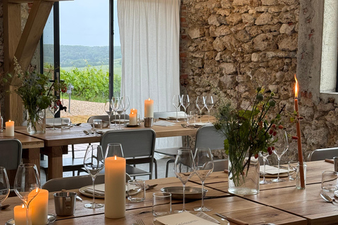 Le Lavoir: Cellar tour & tasting in the vineyards with a winemaker Le Lavoir: Cellar tour & wine tasting in the vineyards with a winemaker