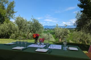 Private Tour durch die Prosecco-Hügel Alles inklusive. 2 Weingüter + Mittagessen