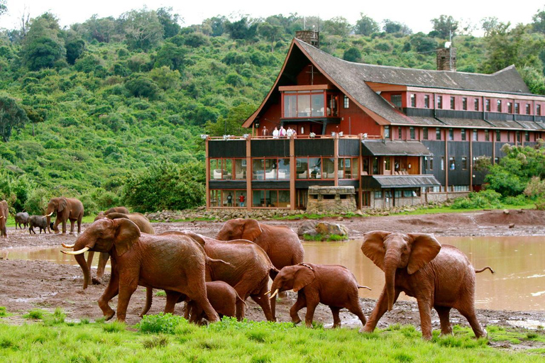 Visite du parc national d&#039;Aberdare depuis Nairobi