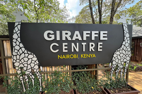 Nairobi: National Park, Giraffe Center, & Elephant Tour