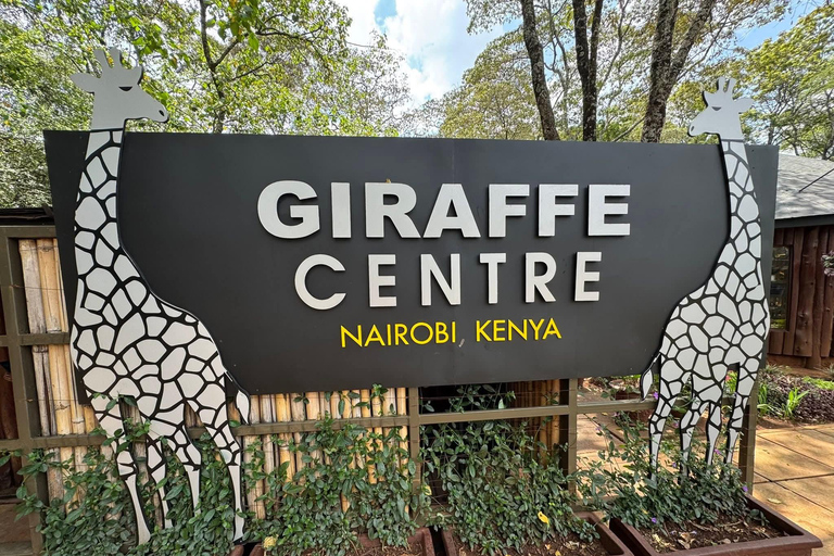 Nairobi: National Park, Giraffe Center, & Elephant Tour