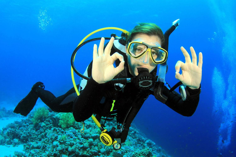 Diving + MUSA Diving lessons