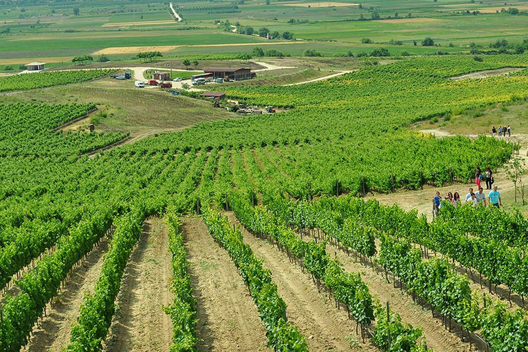 From Plovdiv: Wine Escape to the Rhodope Foothills
