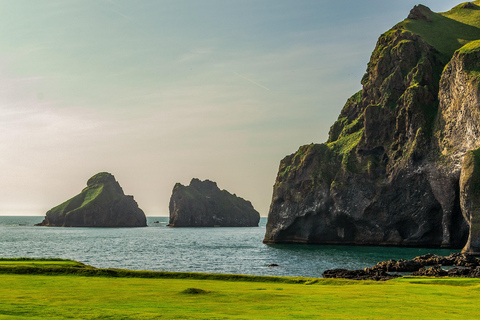 Westman Islands World´s Largest Puffin Colony & Volcano Tour