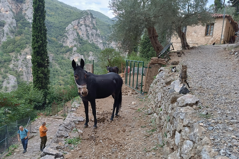 Best of Greece 7-tägige Privatreise Peloponnes Delphi Meteora