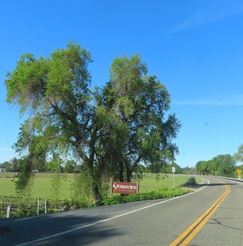 Visit Delta's History and Wine A Self-Guided Driving Tour in Sacramento, California, USA