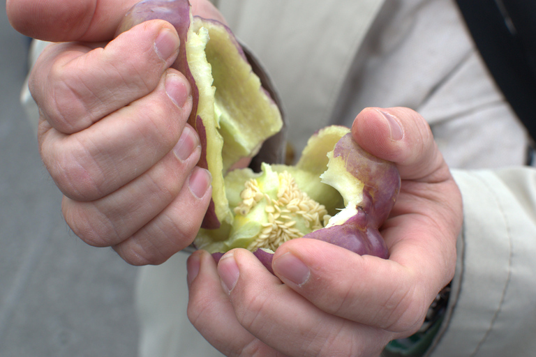 Vienna: Viennese Markets Tour with Tastings Naschmarkt Guided Food Tour