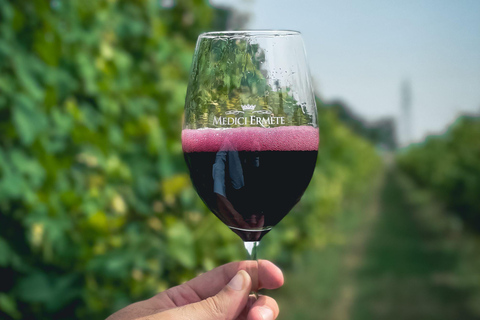 Balsamic Vinegar, Wine Tasting & Tour near Parma & Reggio Balsamic Vinegar & Wine Tasting in Reggio Emilia - Italiano