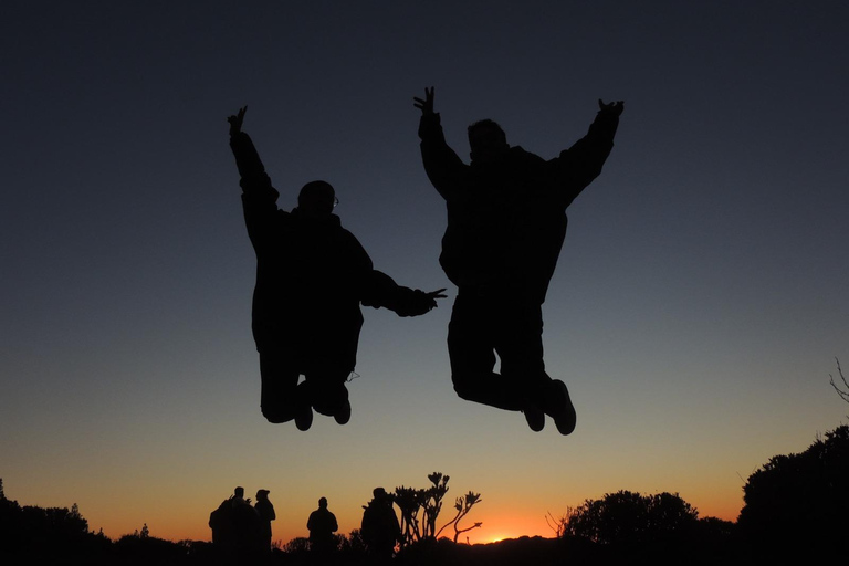 Tenerife: Excursión en Quad al Teide al Atardecerquad para dos personas
