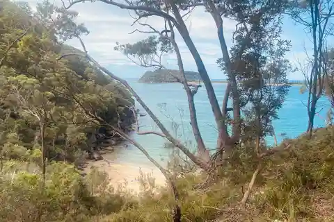 Sydney: Parque Nacional Ku-ring-gai com caminhada, praia e lanche