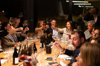 From Lisbon: Hidden Alentejo Wine & Royal Lusitano Horses