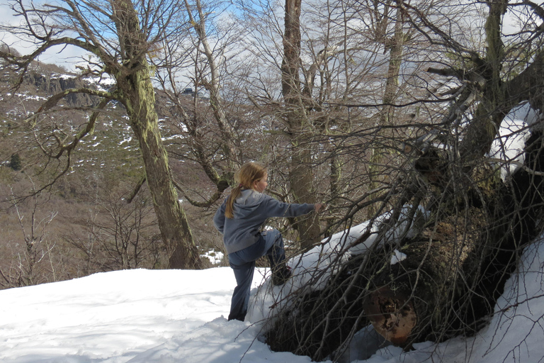San Martín de los Andes: Private 4x4 Snow Forest Tour