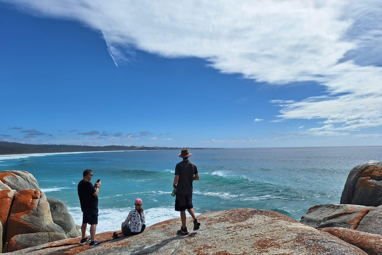 6 Day Taste of Tasmania Tour Private room shared bathroom 1 person