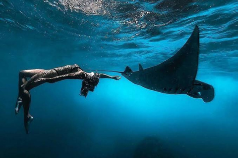 Nusa Penida: Island Sightseeing West & East Coast Day Trip Car Charter 8 Hours Explore West Coast