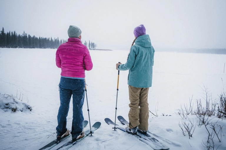 Pyhä: Skiing Tour in Arctic Forest