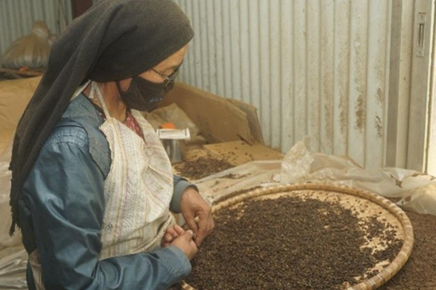 Day as a Tea Farmer in Ilam: Life in Nepal’s Green Tea Hills