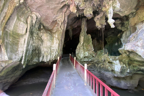 Langkawi Mangrove Monkey-paket