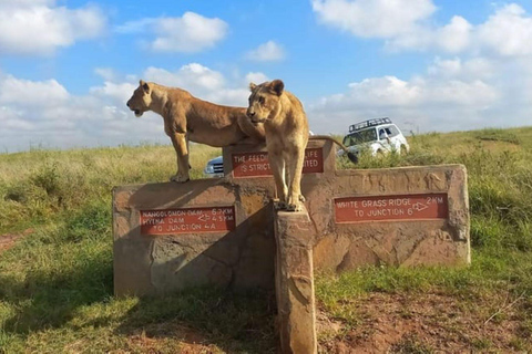 Game drive in Nairobi National Park met gratis halen en brengen