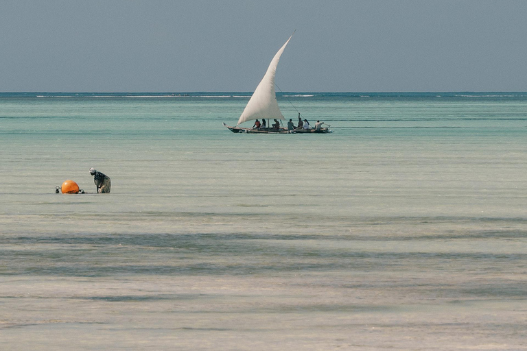 Zanzibar: Nakupenda Sandbank, Prison Island e Stone Town