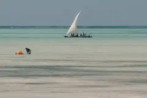 Zanzibar: Nakupenda Island Snorkeling and Beach Day Trip