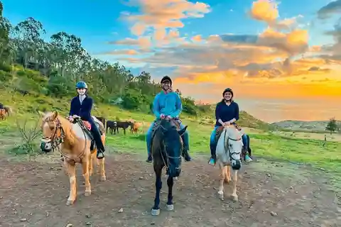 Oahu: Horseback Riding Sunshine or Sunset Tour