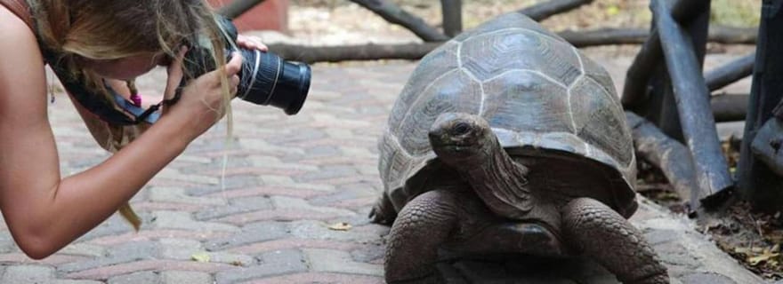 Zanzibar : visite privée de l'île-prison avec des tortues