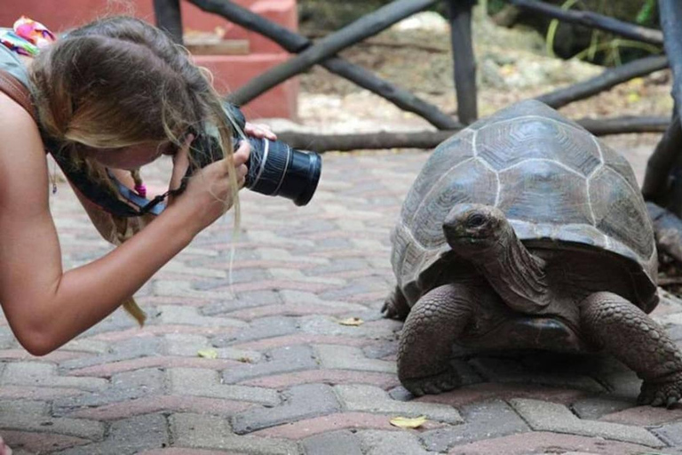 Zanzibar:Visite Privée à l’Île de la Prison avec les Tortues