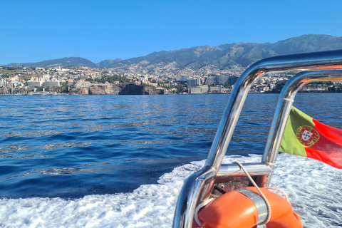 Funchal: Passeio de lancha rápida para observação de baleias e golfinhosFunchal: passeio de lancha para observação de baleias e golfinhos