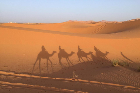 Sahara Escape: Ksar Ghilane & Matmata with Camp Night