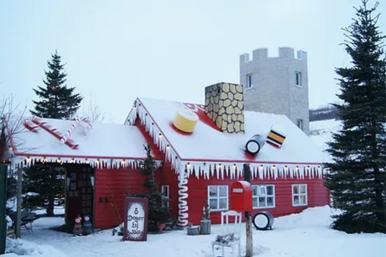 Från Akureyri: Goðafoss vattenfall &amp; rundtur i jultomtens hus