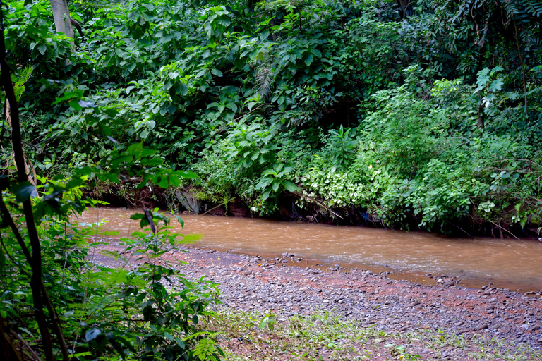 Moshi: Rau-Wald (Wanderung oder Radtour)Wandern im Rau-Wald