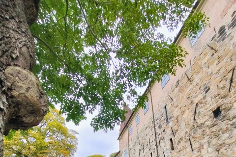 奥斯陆历史风味：美食、火焰和峡湾景观Oslo’s Taste of History – Flames, Food &amp; Fjord Views