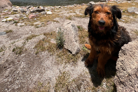 From Mexico city: Hike in Toluca&#039;s mountain (private tour)