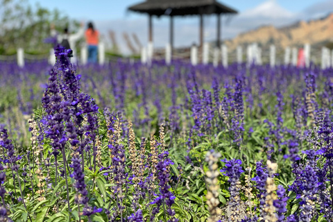 From Taipei: Taichung Must-Visit Day Tour Join-in Tour