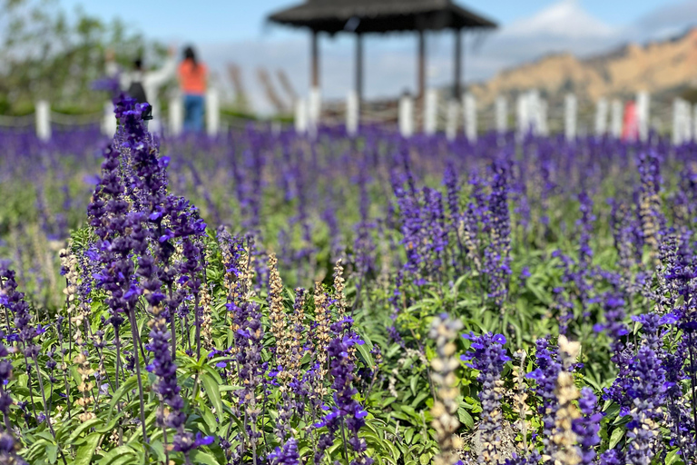 From Taipei: Taichung Must-Visit Day Tour Join-in Tour