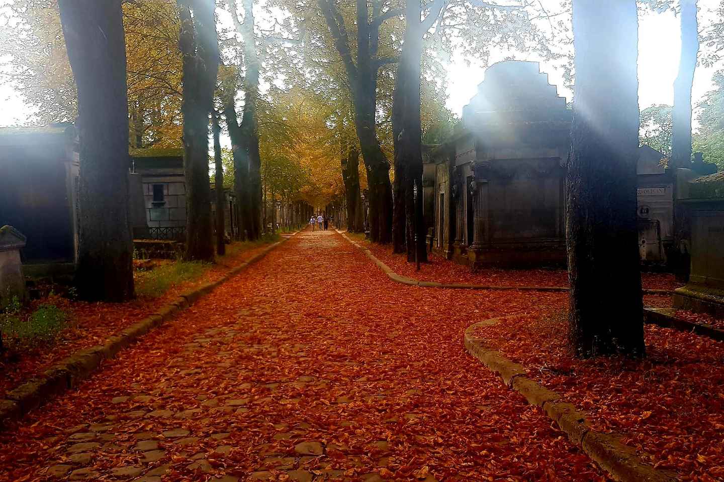 Père-Lachaise : histoires et mystères contés par un comédien