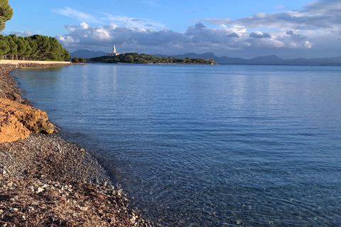 Alcudia: Private boat tour to the lighthouse island