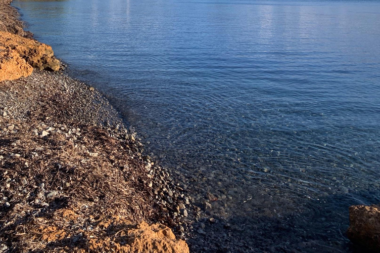 Alcudia: Private boat tour to the lighthouse island