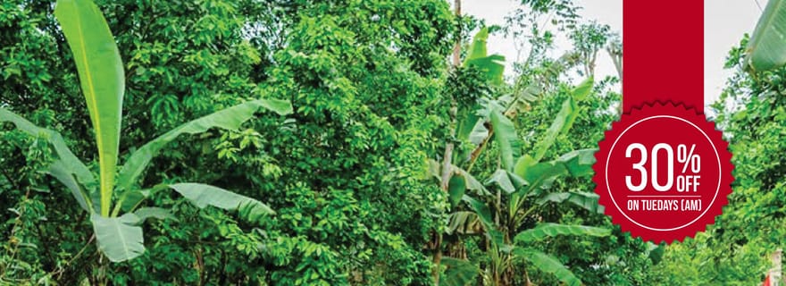 Hue : Aventure cycliste d'une demi-journée dans le village de Thuy Bieu