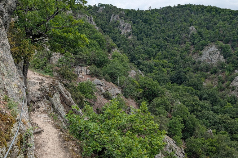 Vienna: Scenic Hiking Tour to Dürnstein/Wachau with Transfer