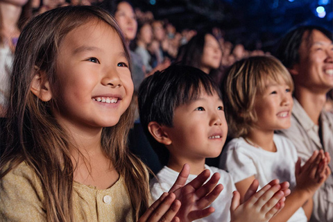 Las Vegas: Allstars Of MagicPosti VIP