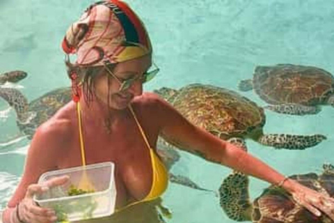 ZANZIBAR: Mangrove Kayaking and Turtle Swim at Salaam Cave PRIVATE TOUR INCLUDES TRANSFER