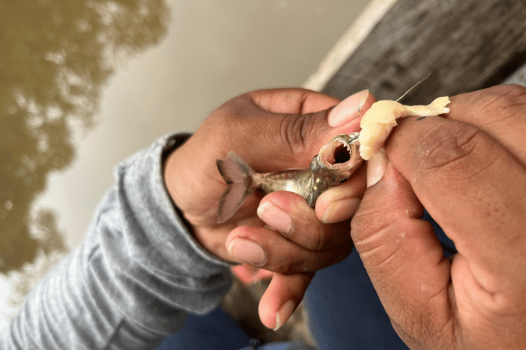 Iquitos: La Isla de los Monos con almuerzo y recogida en el hotelIquitos: Excursión a la Isla de los Monos con almuerzo y recogida en el hotel