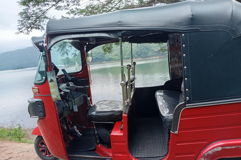 Kandy: Ambuluwawa, Pinnawala & Tea Factory by Tuk Tuk