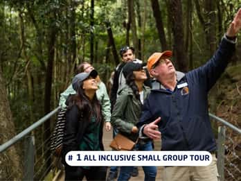 Sydney: Blue Mountains Trip with Lunch*, Cruise & Options
