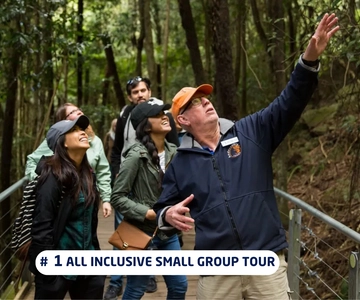 Sydney: Blue Mountains Trip with Lunch*, Cruise & Options