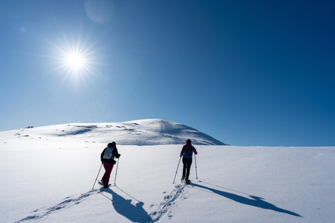 Tromsø: Escursione diurna con le racchette da neve Fjellheisen e giro in funivia