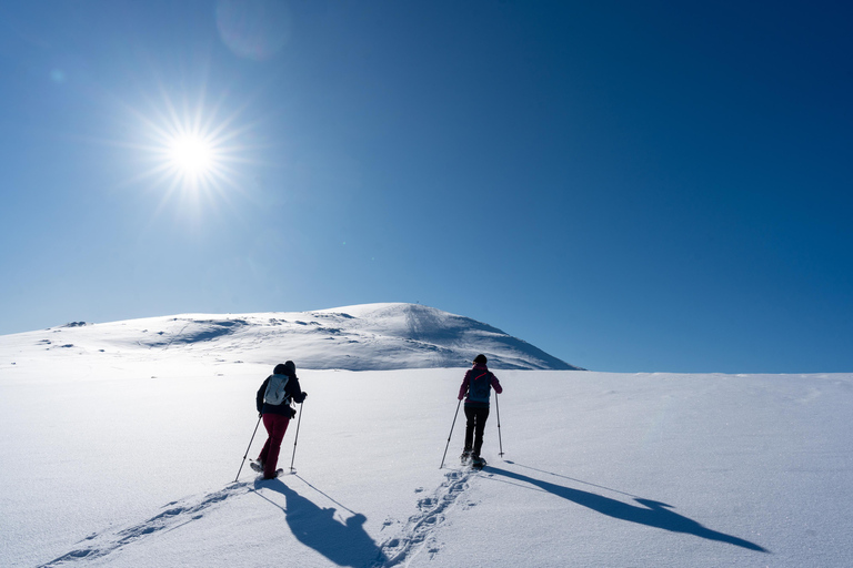 Tromsø: Wędrówka na rakietach śnieżnych Fjellheisen i przejażdżka kolejką linową w ciągu dnia