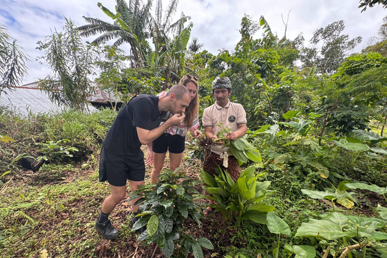MUNDUK A Day with Local Farmers & Authentic Balinese Cooking